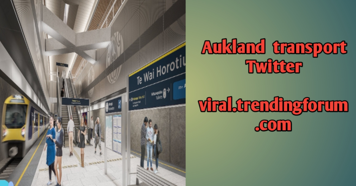 Aukland Twitter video and photos _ Auckland trending vedio and photos on social media